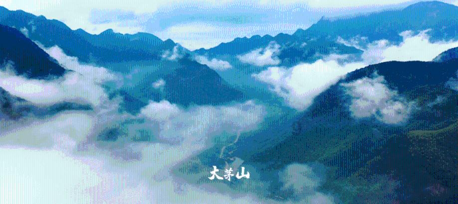 有杀气童话